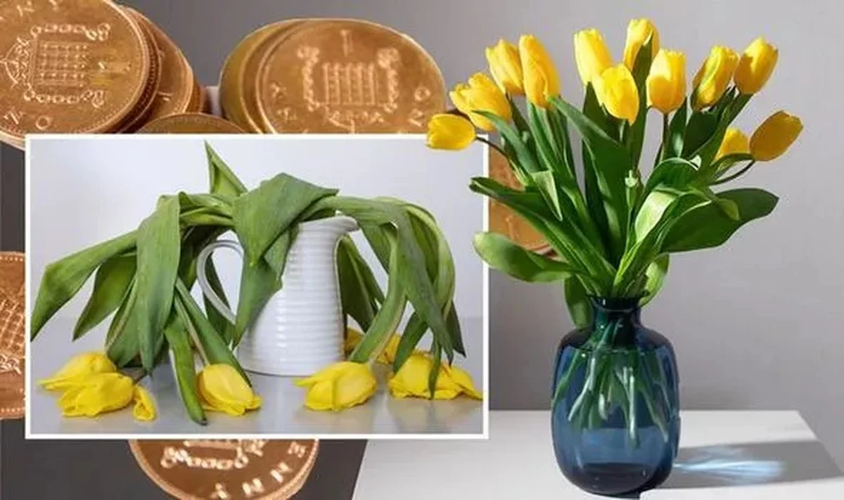 Mince v květinové váze: jak prodloužit životnost tulipánů o týden déle.