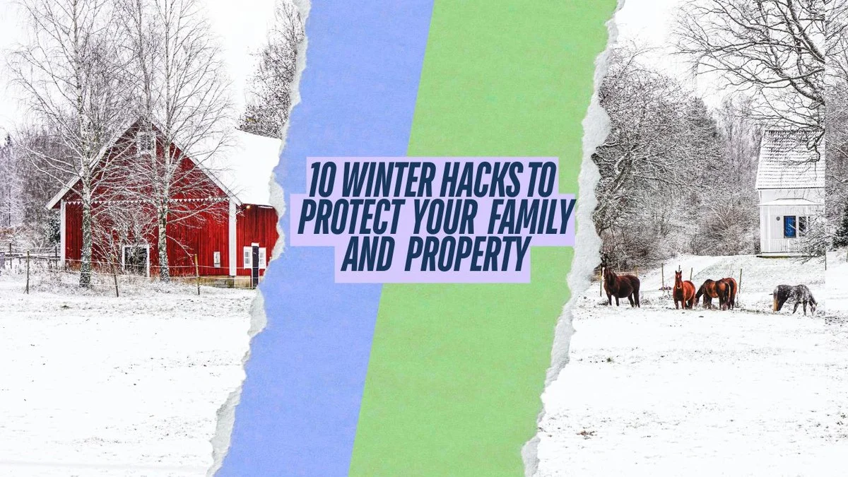 Proč Češi sypou kávovou sedlinu na boty v zimě? Jednoduchý trik pro bezpečí - image 1