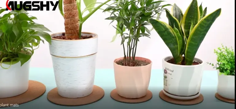 Proč dát korkový podtácek pod květináče? Jednoduchý trik chrání váš nábytek