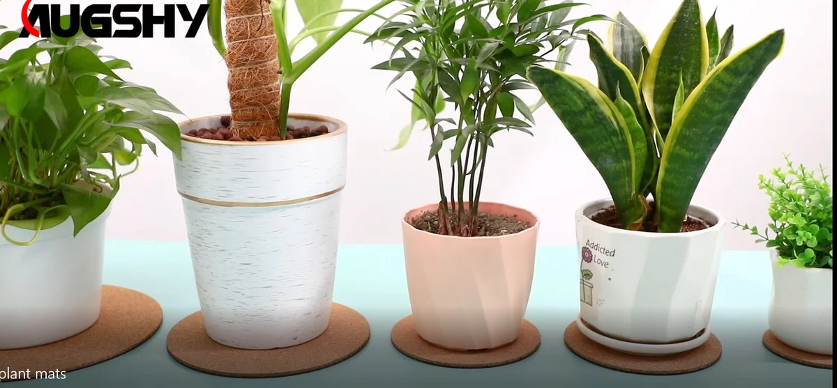 Proč dát korkový podtácek pod květináče? Jednoduchý trik chrání váš nábytek