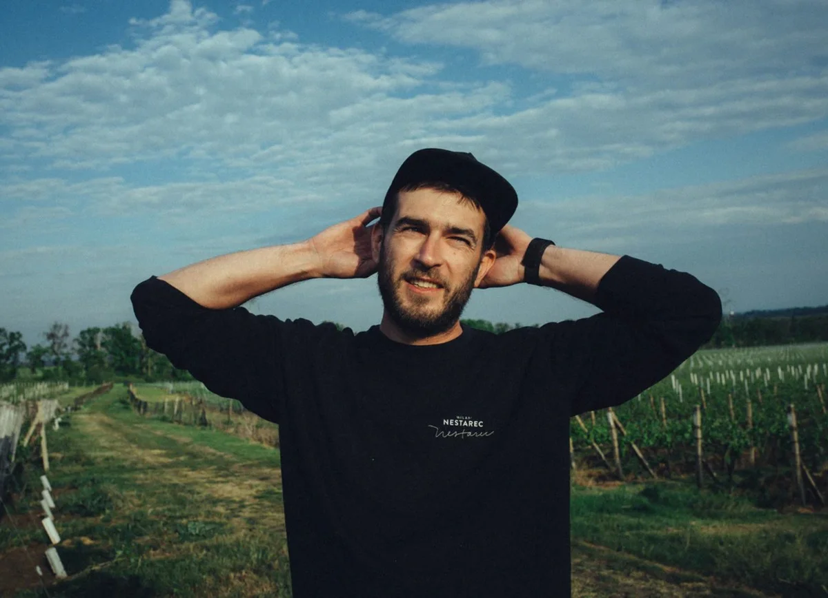 Proč vinaři vždy ťukají na sud před otevřením: Fascinující důvod - image 1