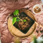 Skořice v květináči: Jak odrazuje mravence a chrání rostliny