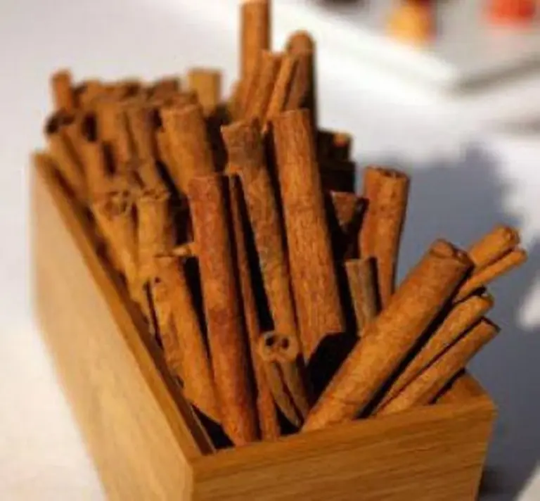 Skořice v květináči: Přirozená ochrana proti mravencům v domě