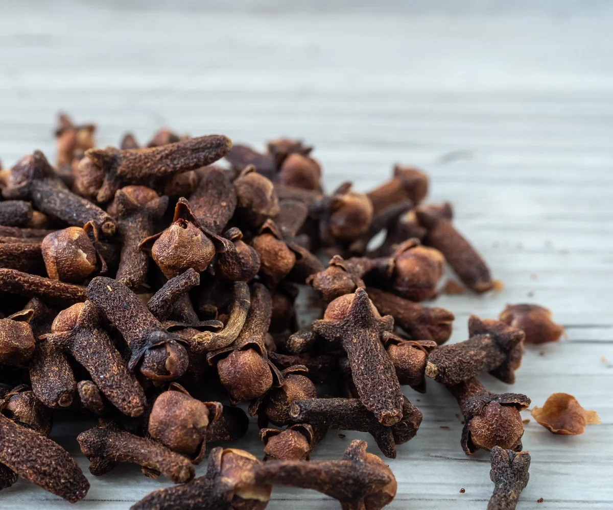 Skořice v květináčích? Zapomeňte na mravence jednou provždy - image 1