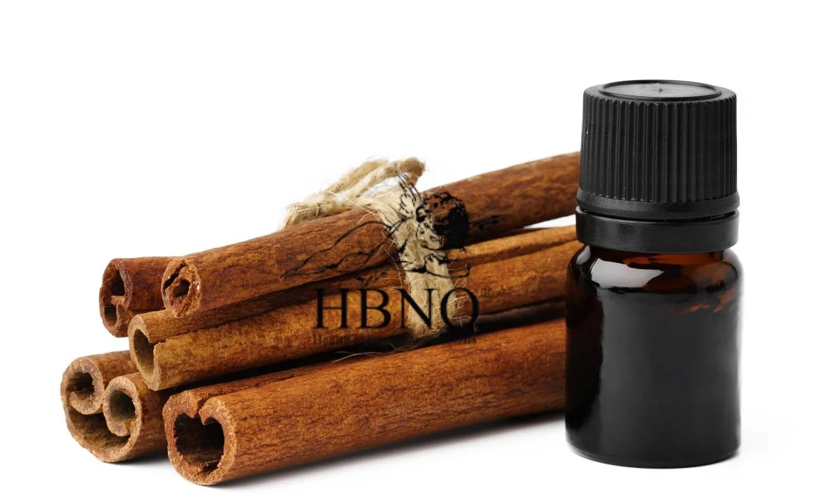 Skořice v květináči: Jak odrazuje mravence a chrání rostliny - image 2