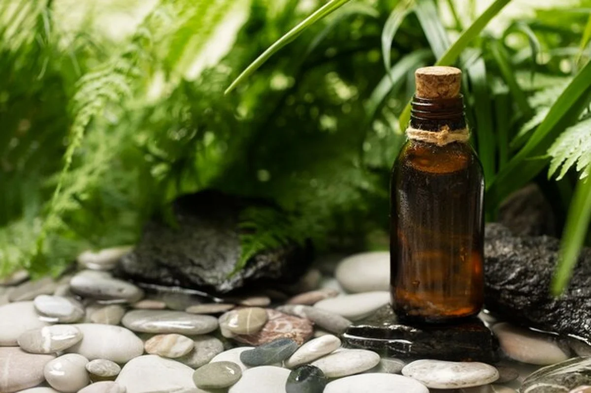 Věděli jste? Tuto zálivu na rostliny má doma každý a stojí 20 Kč, ale všechno z ní roste! (108 znaků) - image 1