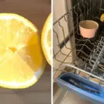 Vložte citron do myčky: Zářivě čisté nádobí bez chemie