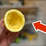 Vložte citronovou kůru do lednice: Přírodní řešení proti zápachu
