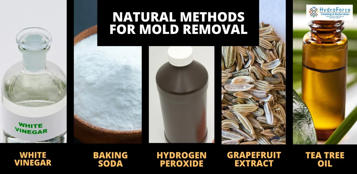 Vložte korkový špunt do lednice: Překvapivý trik proti plísni - image 1