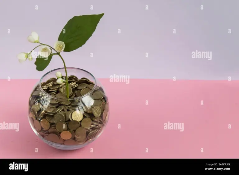 Vložte minci do vázy a řezané květiny vydrží o 7 dní déle