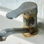 Citron a sůl na zrezivělé kohoutky? Budou jako nové