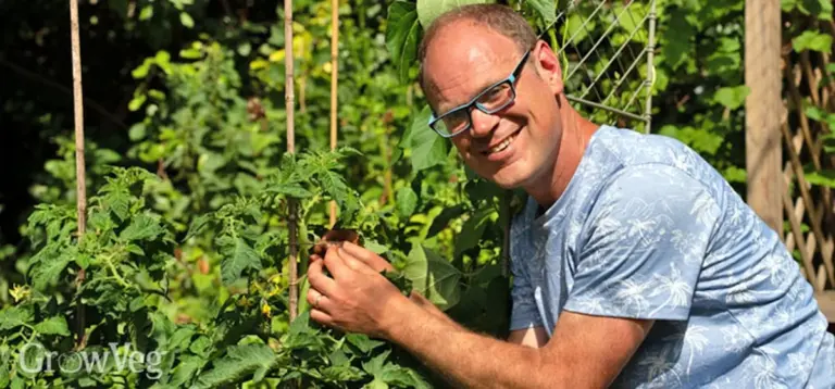 Co profesionální zahradníci dělají každé ráno: tajemství bujných rostlin