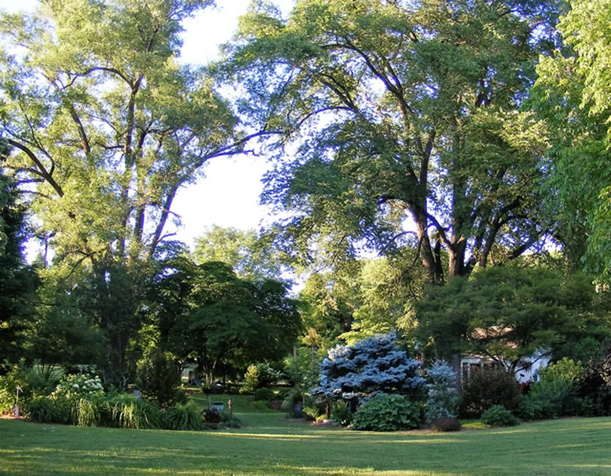 Co profesionální zahradníci dělají každé ráno: tajemství bujných rostlin - image 2