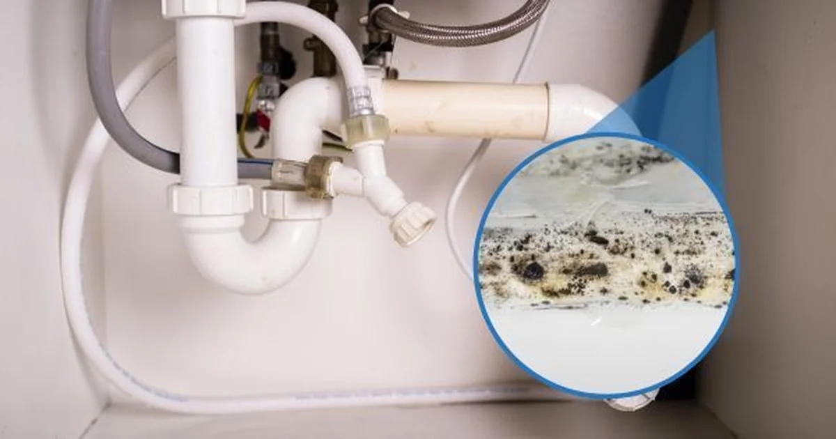 Instalatéři prozrazují: Tato ranní činnost ničí vaše potrubí nenávratně - image 1