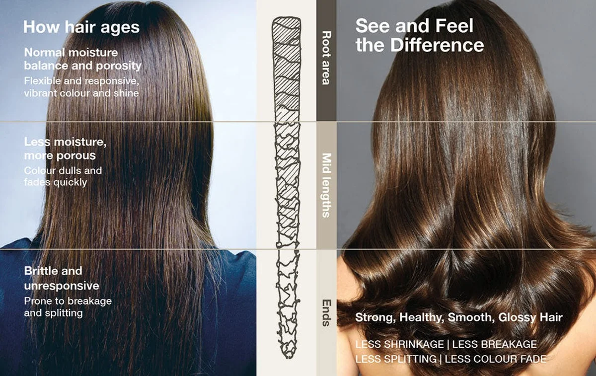 Kadeřníci varují: Tento běžný šampon ničí vaše vlasy postupně. - image 1