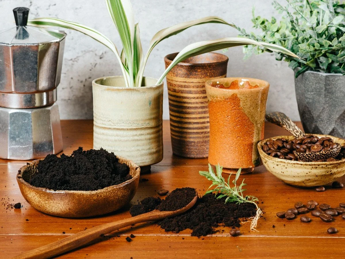 Kávová sedlina na zahradě: Proč profesionální zahradníci přísahají na tento trik. - image 1