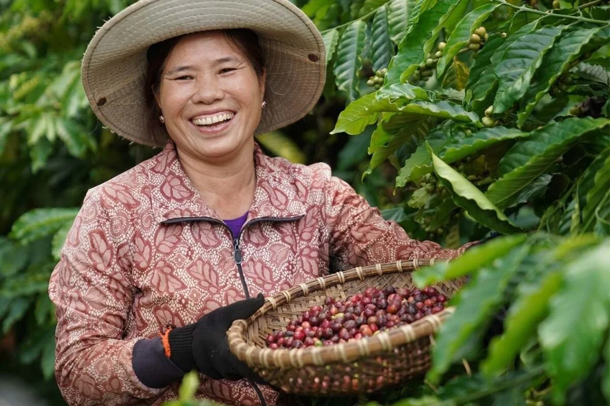 Kávová sedlina na zahradě: Proč zahradníci přísahají na tento trik - image 2
