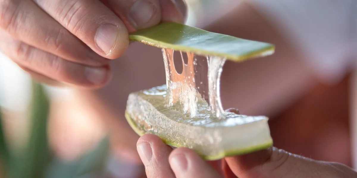 Kokosový olej na vrzající dveře: Lepší než průmyslové mazivo - image 1