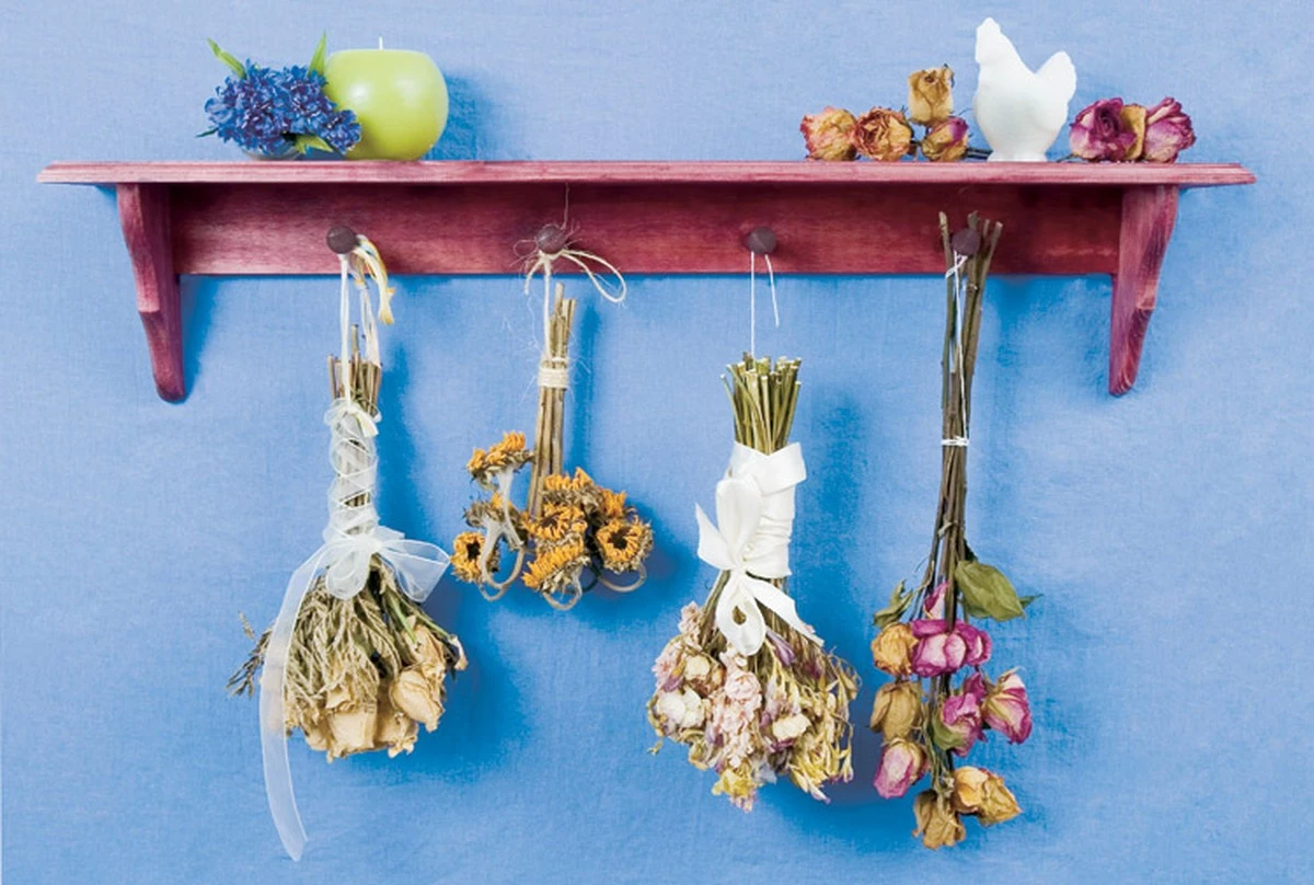 Mince ve váze prodlouží životnost květin o týden. - image 2