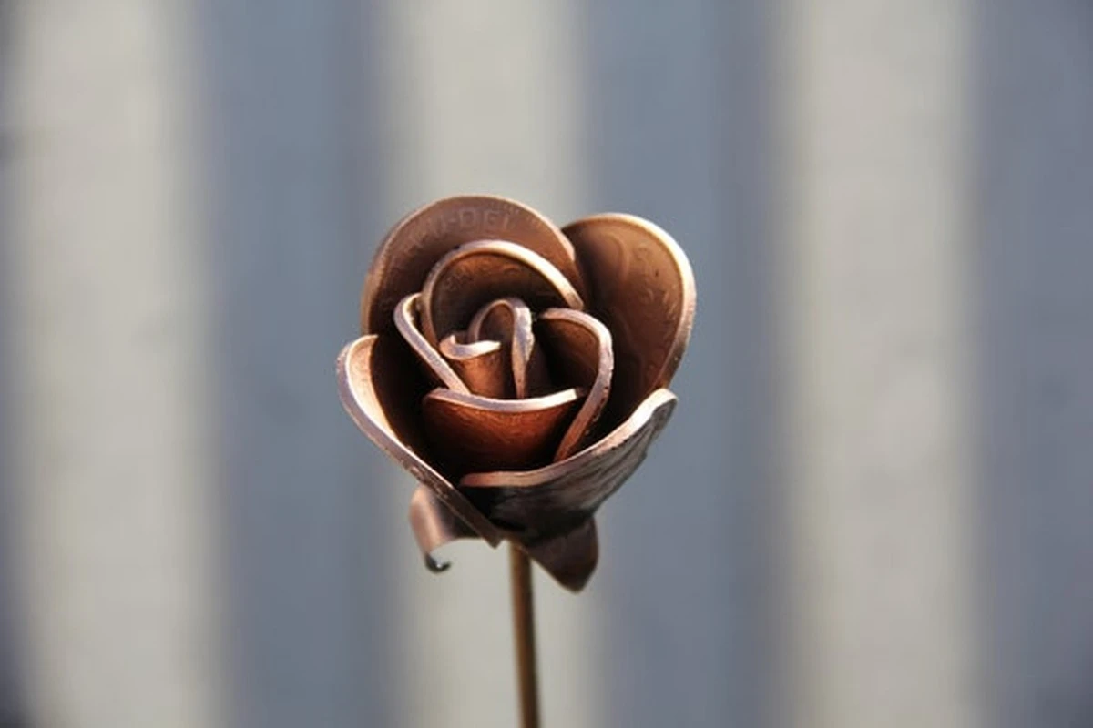 Mince ve váze s květinami: tajemství dlouho kvetoucích rostlin. - image 1