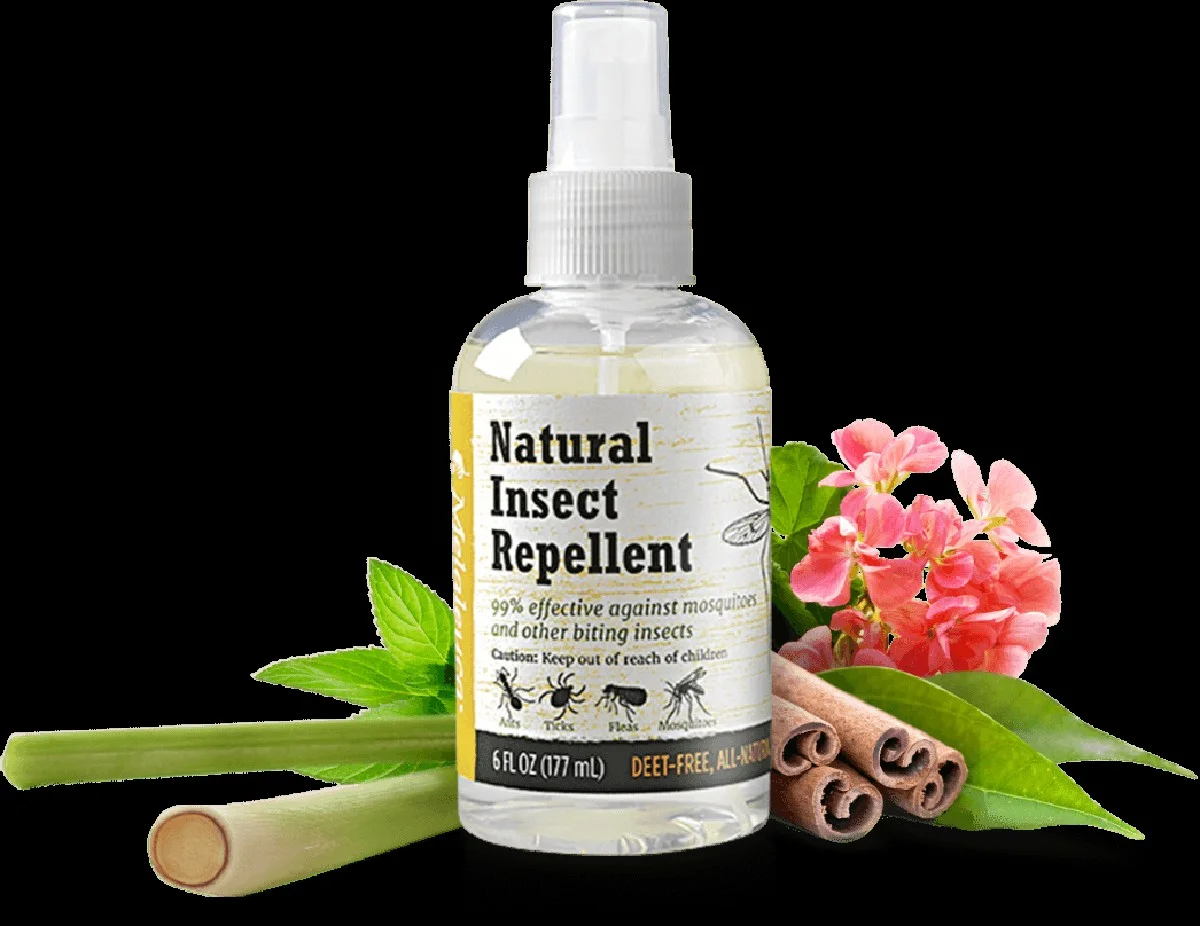 Mince v květináči odrazují škůdce: Zapomenutý trik našich prarodičů. - image 1