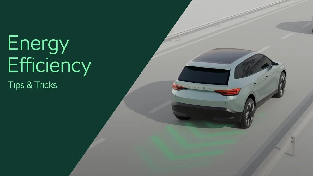 Mraznička plná novinového papíru? Proč to snižuje účet za elektřinu - image 2