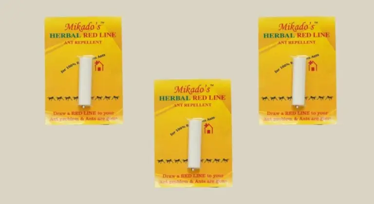 Obyčejná křída vytvoří bariéru proti mravencům: nevkročí do vašeho domova.