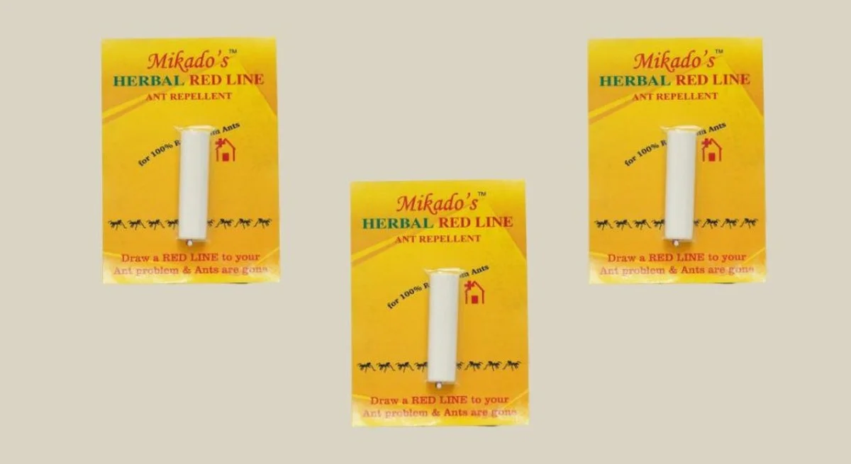 Obyčejná křída vytvoří bariéru proti mravencům: nevkročí do vašeho domova.