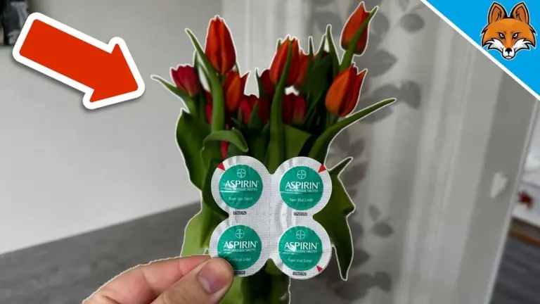 Přidejte aspirin do vázy s květinami a vydrží dvakrát déle
