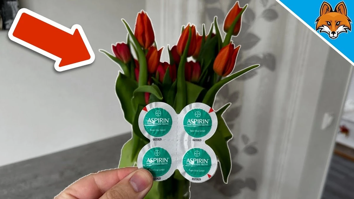 Přidejte aspirin do vázy s květinami a vydrží dvakrát déle