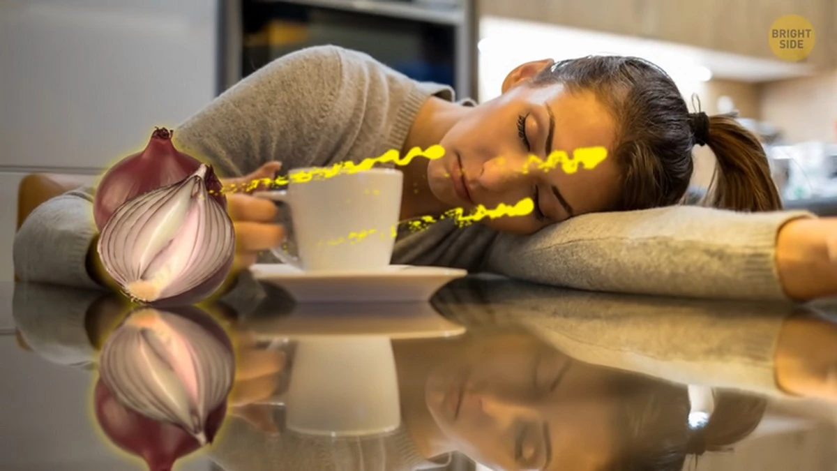Proč cibule na nočním stolku zlepšuje kvalitu spánku podle vědců. - image 2
