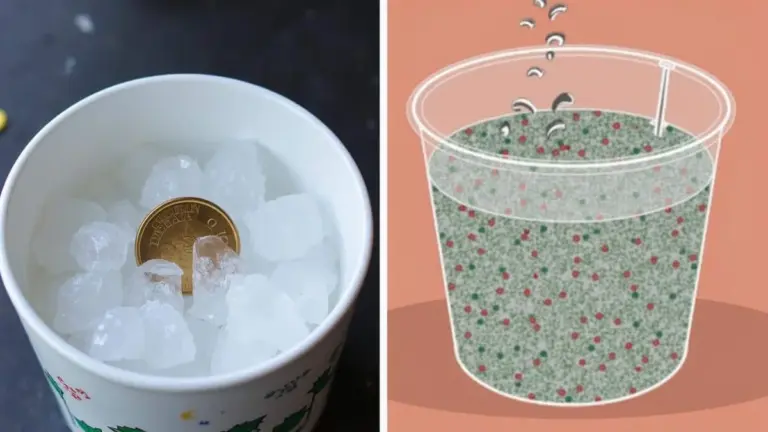 Proč dát minci do zmrzlé sklenice? Trik, který každý cukrář zná.