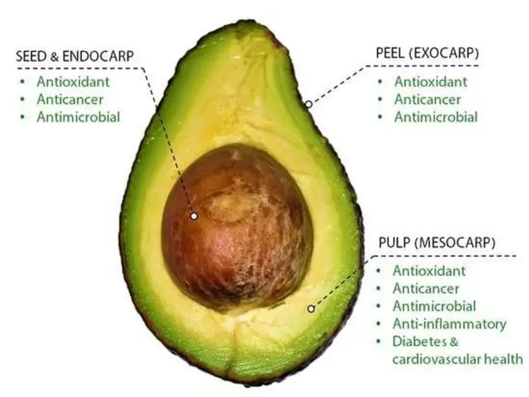 Proč dát pecku z avokáda do květináče: přírodní zázrak pro vaše rostliny
