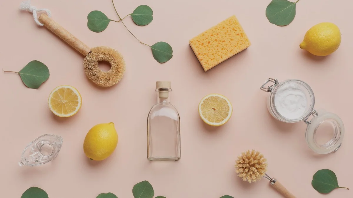 Proč dát skořici do vysavače: Trik pro svěží vzduch a hubení molů - image 1