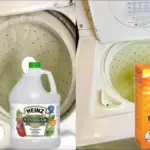 Proč dát sodu do pračky: trik, který prodlouží životnost vašeho oblečení.