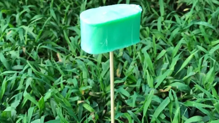 Proč farmáři dávají mýdlo do zahrady? Trik proti škůdcům z minulého století