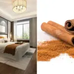 Skořice v rohu místnosti: staré tajemství proti mravencům.