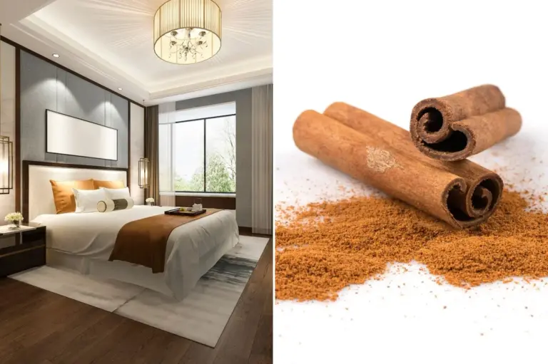 Skořice v rohu místnosti: staré tajemství proti mravencům.