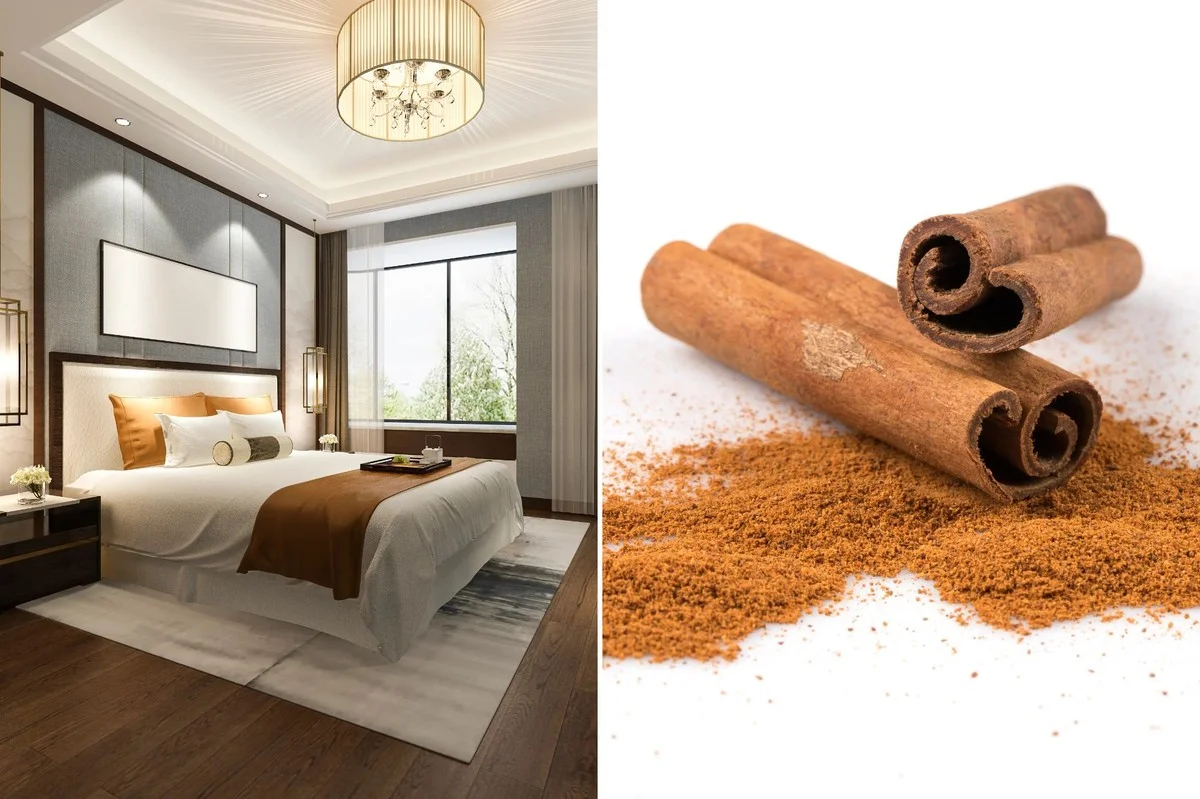 Skořice v rohu místnosti: staré tajemství proti mravencům.