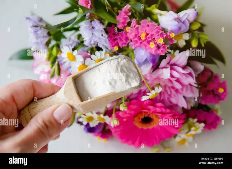Sodovka ve vázě: květiny vydrží o týden déle díky tomuto triku.