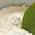 Vložte bobkový list do mouky: starodávný trik proti škůdcům.