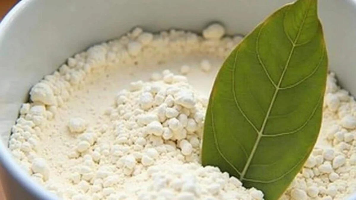 Vložte bobkový list do mouky: starodávný trik proti škůdcům.