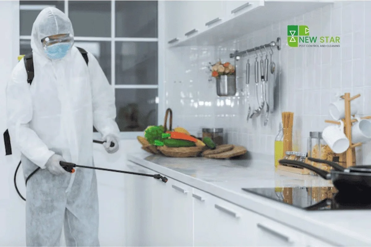 Vložte bobkový list do mouky: staletý trik proti škůdcům v kuchyni - image 1