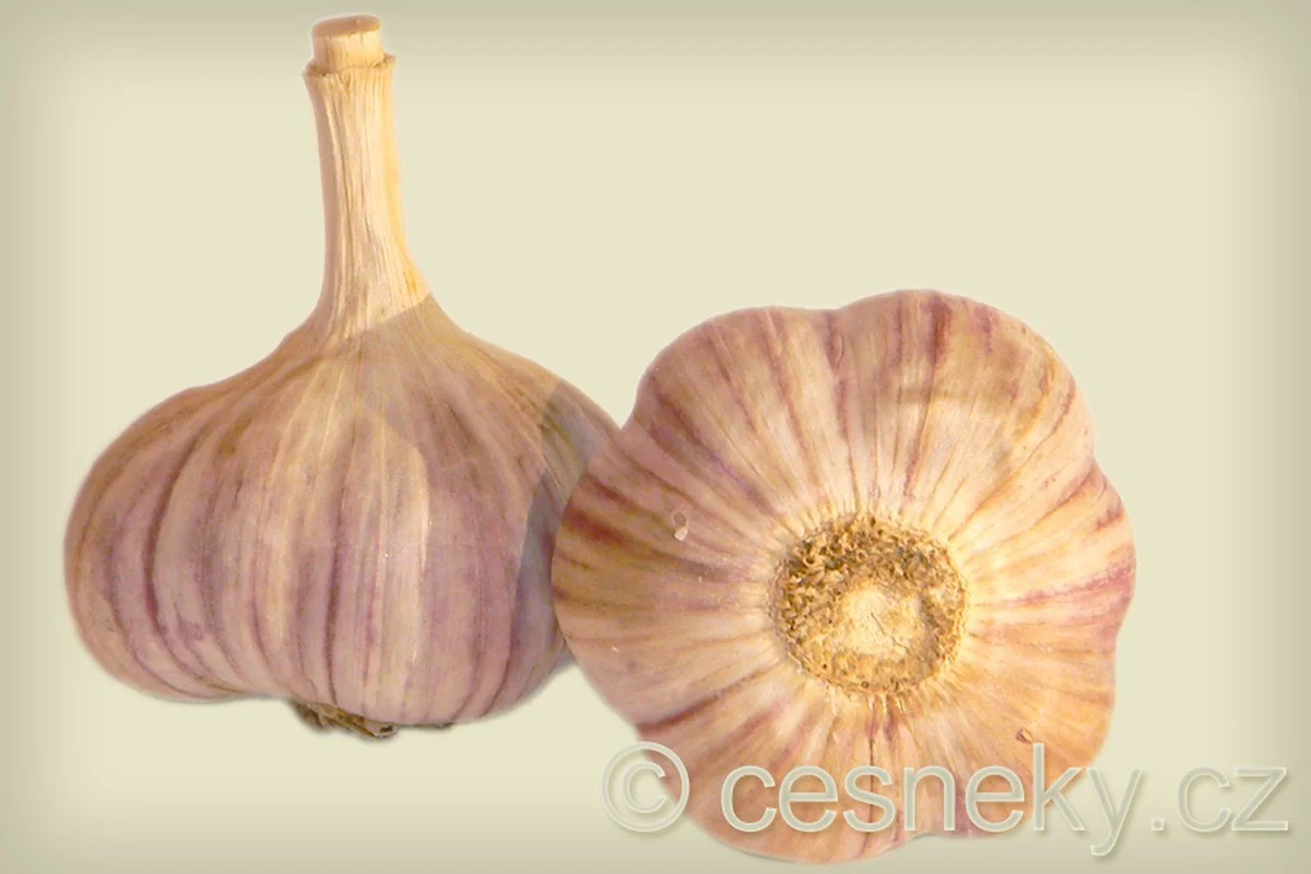 Zahradníci doporučují: Tato jediná zelenina by měla být zasazena v říjnu - image 2