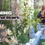 Co zahradníci dělají každé ráno: Tajemství zdravých rostlin celý rok