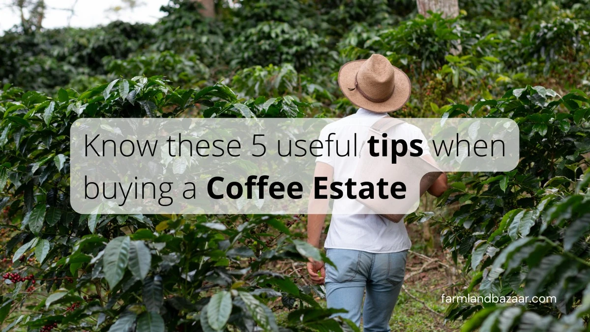 Co zahradníci dělají každé ráno: Tajemství zdravých rostlin celý rok - image 2