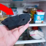 Dřevěné uhlí v lednici: Staré tajemství proti zápachu.