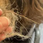 Kadeřníci varují: Nikdy nepoužívejte tento běžný šampon dvakrát za sebou.