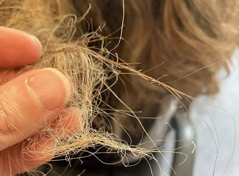 Kadeřníci varují: Nikdy nepoužívejte tento běžný šampon dvakrát za sebou.