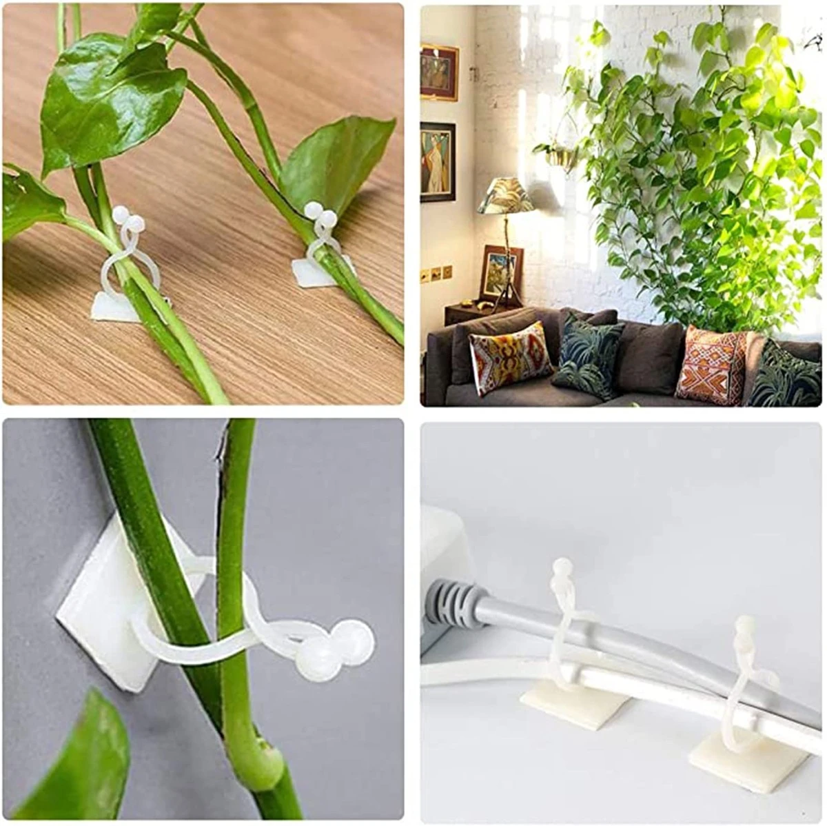 Kancelářské sponky na pěstování bylin: Geniální trik pro začátečníky